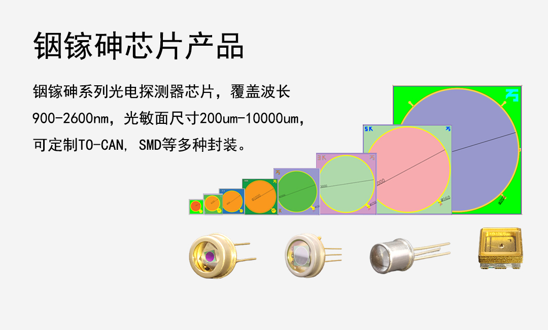 铟镓砷PD芯片